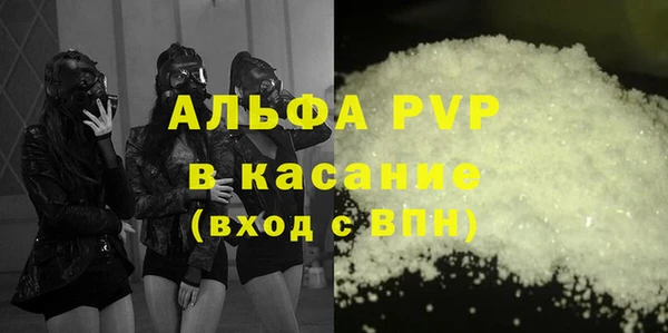 твердый Михайлов