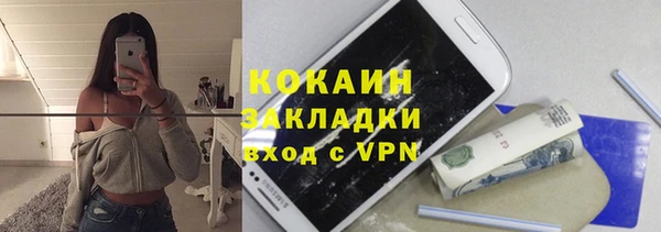 твердый Михайлов