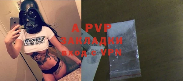 твердый Михайлов