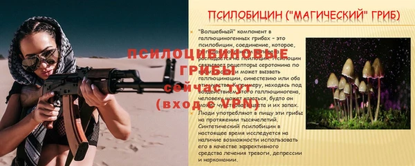 твердый Михайлов