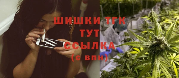твердый Михайлов