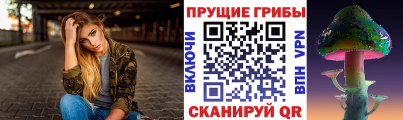 Галлюциногенные грибы прущие грибы дарнет шоп Петропавловск-Камчатский