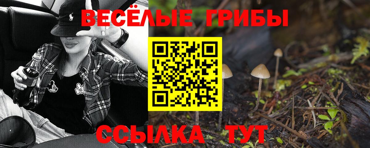 Псилоцибиновые грибы мухоморы  Псилоцибиновые грибы мухоморы  Петропавловск-Камчатский 