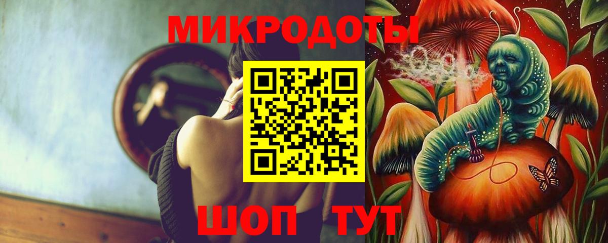 Псилоцибиновые грибы Cubensis Петропавловск-Камчатский