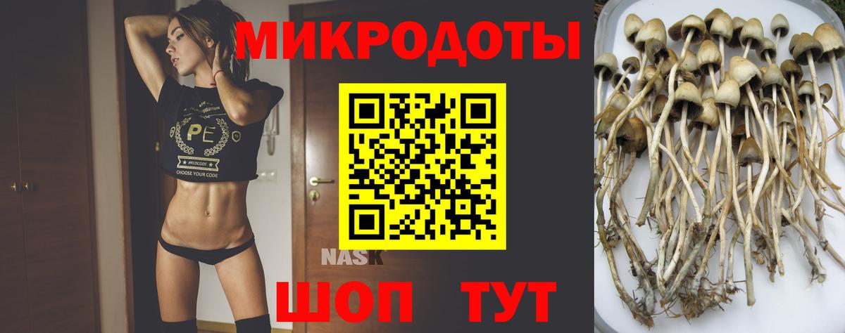 Галлюциногенные грибы MAGIC MUSHROOMS  Вход с VPN  Петропавловск-Камчатский 